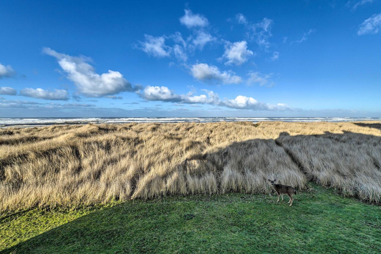 Eagles View Condo In Ocean Shores With 3 Balconies Экстерьер фото